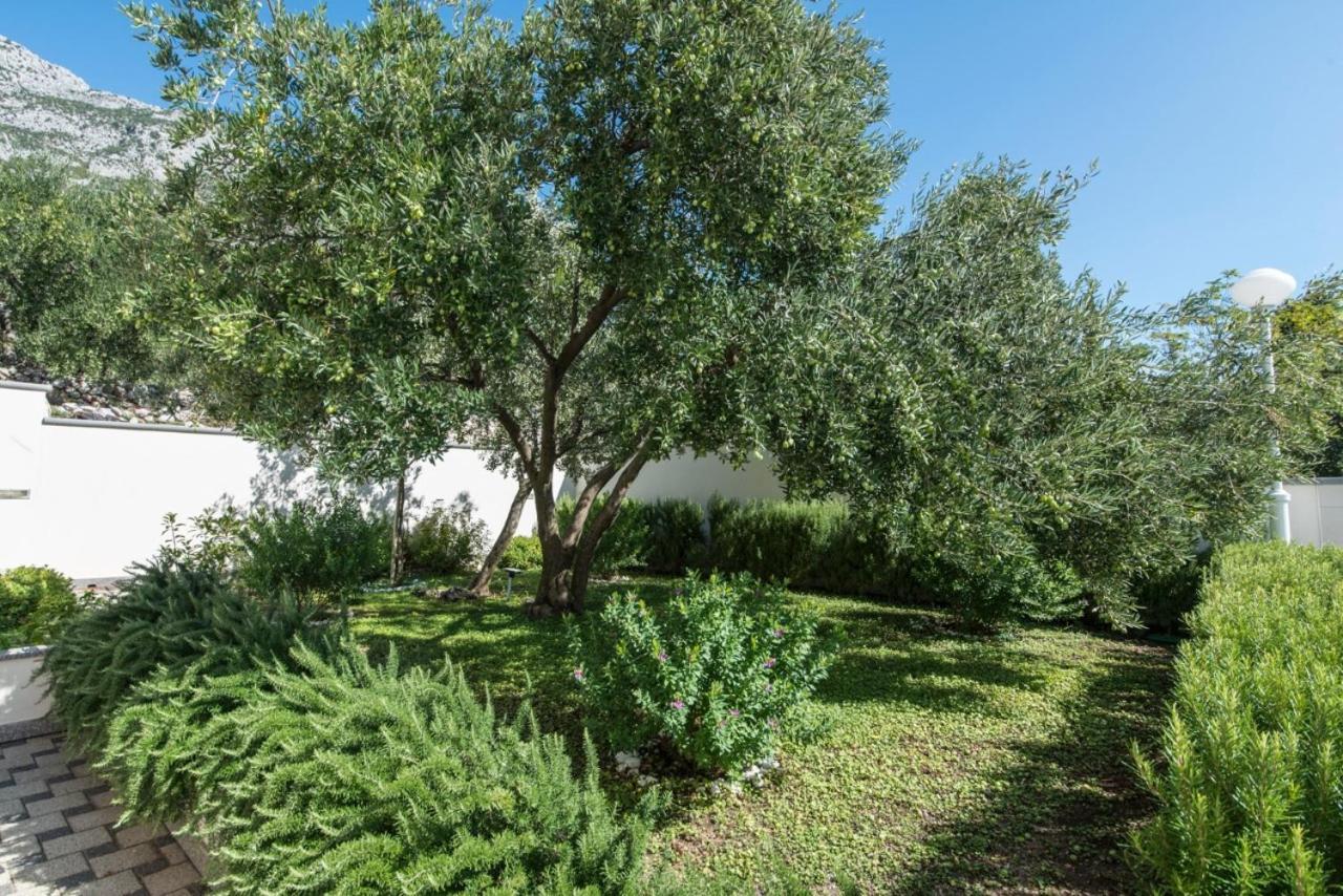 Nasa Kuca Bed & Breakfast - Adults Only Brist Εξωτερικό φωτογραφία